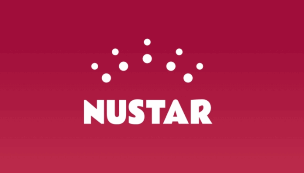 Nustargame logo